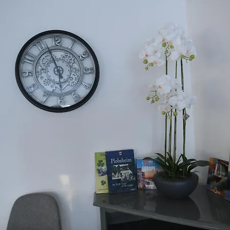 Maison La Digue Дом отдыха Плобсхейм